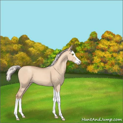 Horse Color:Silver Sable Champagne Dun Splash 