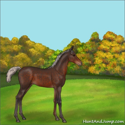 Horse Color:Silver Brown 