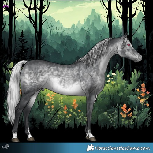 Horse Color:Silver Brown Chinchilla 