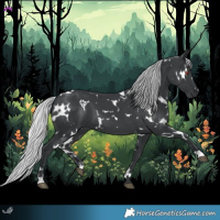 Horse Color:White Spotted Silver Black Chinchilla 