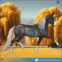 Horse Color:Liver Chestnut Mushroom Rabicano