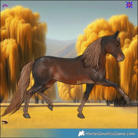 Horse Color:Liver Chestnut Rabicano 