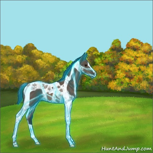 Horse Color:Thunderstruck Brown Dun Tobiano 