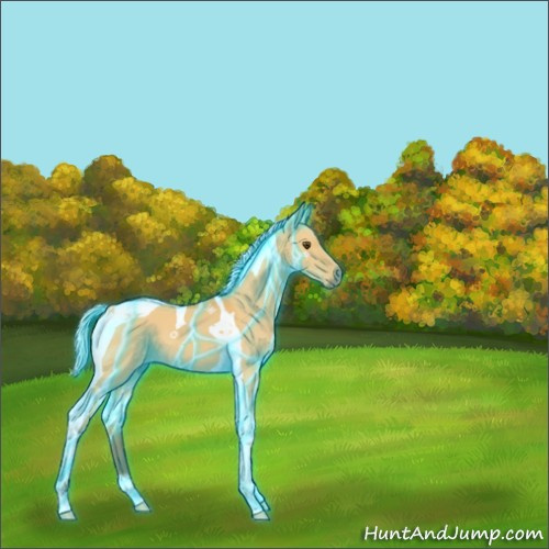 Horse Color:Thunderstruck Silver Buckskin Dun Tobiano 