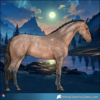 Horse Color:Bay Roan 