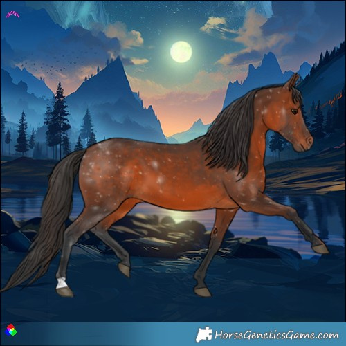 Horse Color:Brown 