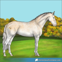 Horse Color:White Spotted Chocolate Silver Amber Cream Champagne Dun 