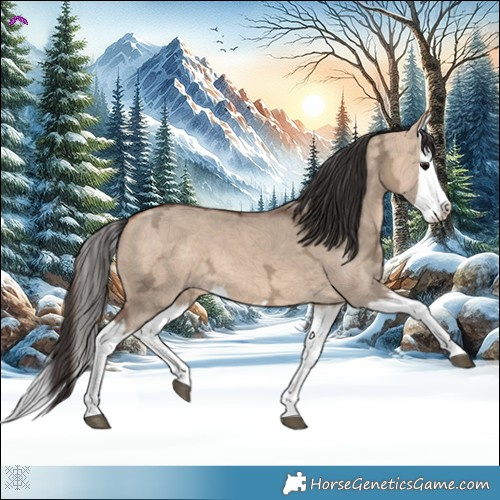 Horse Color:Bay Ice Dun Splash