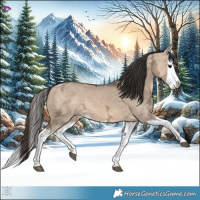 Horse Color:Bay Ice Dun Splash 