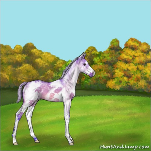 Horse Color:Watercolor White Spotted Silver Bay Dun 