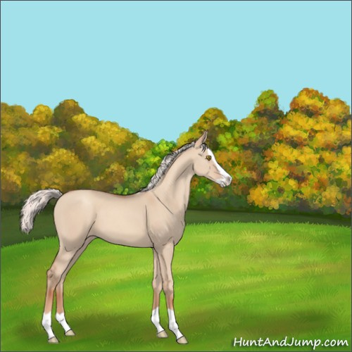 Horse Color:Silver Classic Champagne Dun Splash 