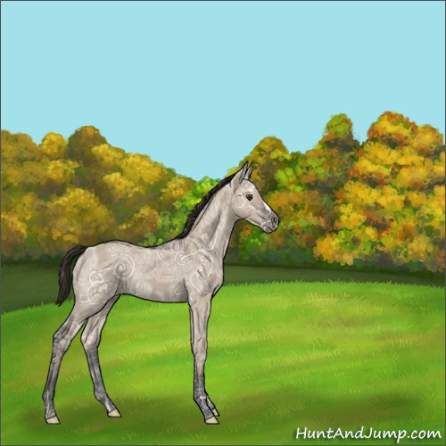 Horse Color:Liver Red Dun Ice 