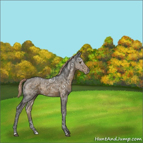 Horse Color:Chocolate Palomino Ice 