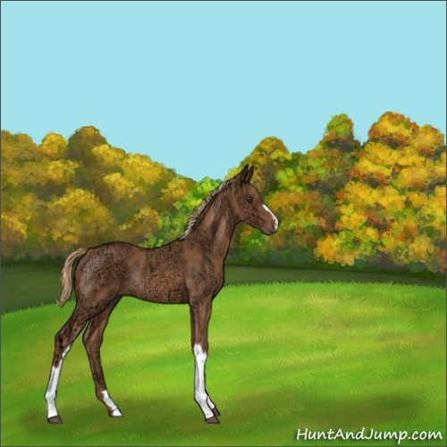 Horse Color:Chestnut Ice Rabicano 