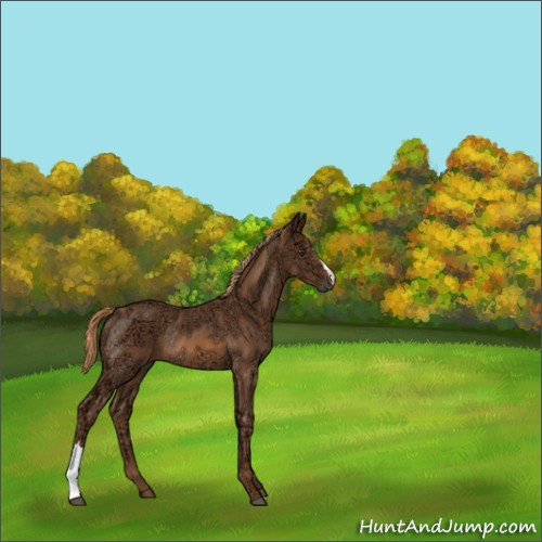 Horse Color:Chestnut Ice Rabicano 