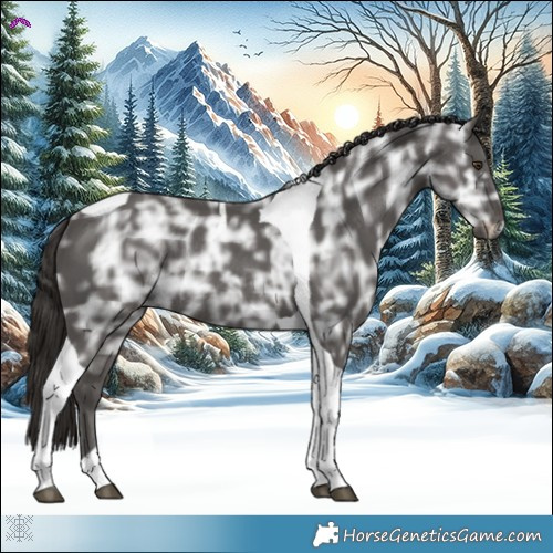 Horse Color:Liver Chestnut Ice Tobiano Rabicano