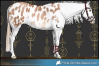 Horse Color:Liver Chestnut Pearl Blanket 