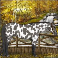 Horse Color:Grullo Mushroom Near Leopard 