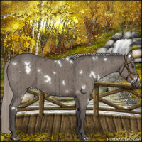 Horse Color:White Spotted Silver Grullo Brindle 