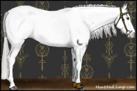 Horse Color:Liver Red Dun Roan Mushroom Fewspot 