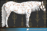 Horse Color:White Spotted Chocolate Silver Brown Pearl Appaloosa 
