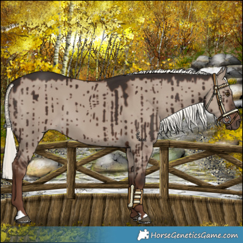 Horse Color:Liver Red Dun Mushroom Brindle