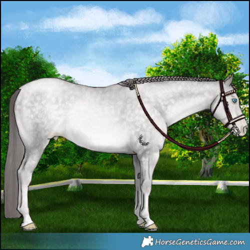 Horse Color:Platinum Buckskin Pearl Mushroom 