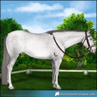 Horse Color:Platinum Buckskin Pearl Mushroom 