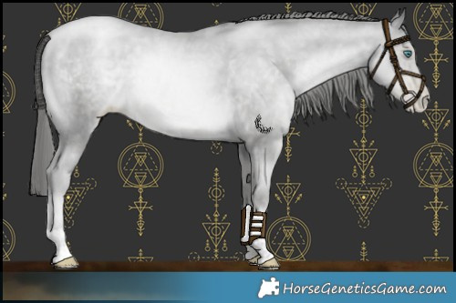 Horse Color:Platinum Smoky Black Pearl Mushroom 