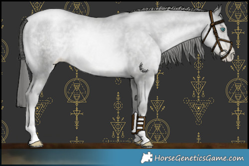 Horse Color:Platinum Smoky Black Pearl Mushroom 