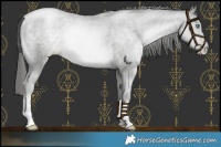 Horse Color:Platinum Smoky Black Pearl Mushroom