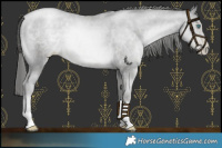 Horse Color:Platinum Smoky Black Pearl Mushroom 