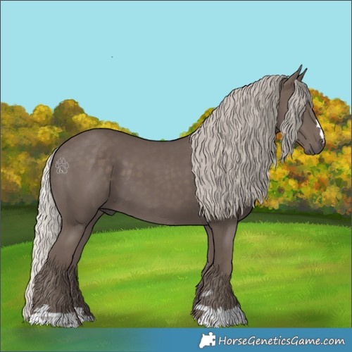 Horse Color:Silver Black 