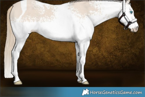 Horse Color:White Spotted Smoky Creme Tobiano 