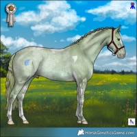 Horse Color:Watercolor Chestnut Ice Sabino Tobiano Rabicano 