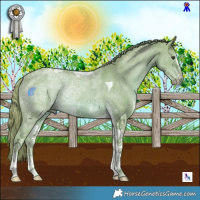 Horse Color:Watercolor Chestnut Ice Sabino Tobiano Rabicano 