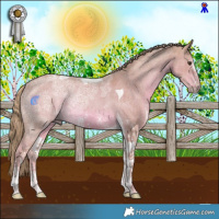Horse Color:Watercolor Chestnut Ice Sabino Tobiano Rabicano 