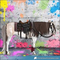 Horse Color:Amber Champagne Roan Sabino Splash Rabicano