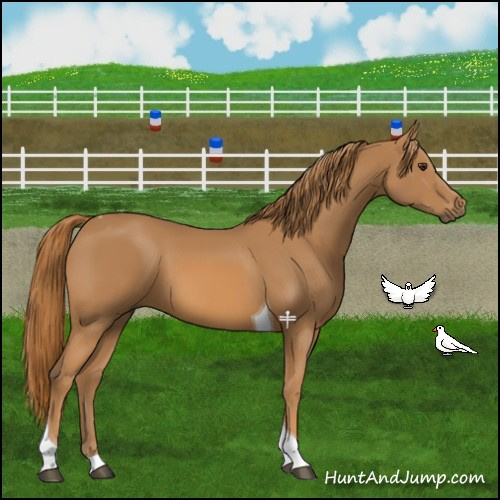 Horse Color:Chestnut Tobiano 