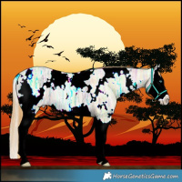 Horse Color:White Spotted Smoky Grullo Ice Pearl Splash 