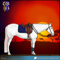 Horse Color:White Spotted Classic Champagne Dun Splash Appaloosa Rabicano 