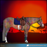 Horse Color:Nacre Bay Sabino 