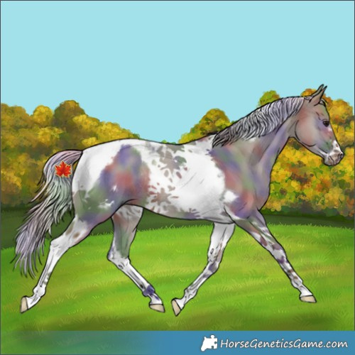 Horse Color:Nacre Silver Smoky Grullo Tobiano Frame Rabicano 