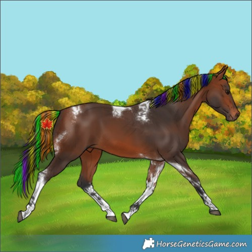 Horse Color:Painted Bay Tobiano 