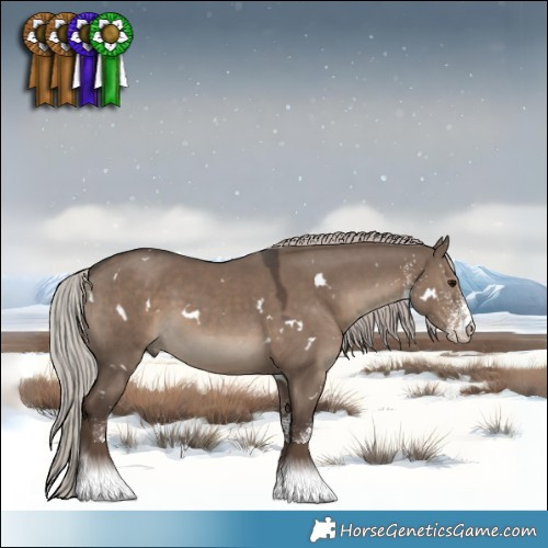 Horse Color:White Spotted Silver Grullo 