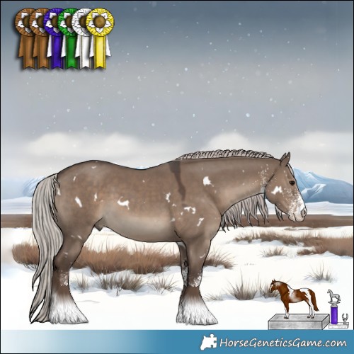 Horse Color:White Spotted Silver Grullo 