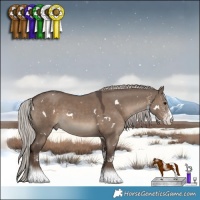 Horse Color:White Spotted Silver Grullo 