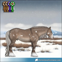 Horse Color:White Spotted Silver Grullo