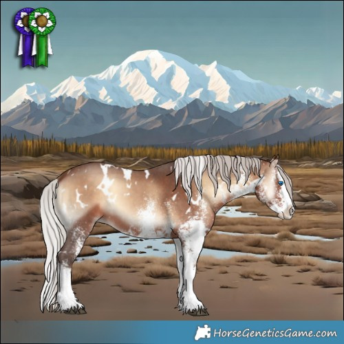 Horse Color:White Spotted Silver Brown Onyx Splash 