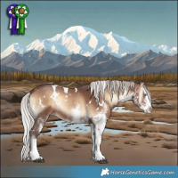 Horse Color:White Spotted Silver Brown Onyx Splash